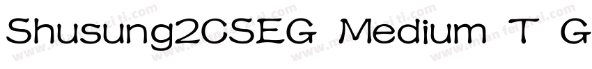 Shusung2CSEG Medium T GB字体转换